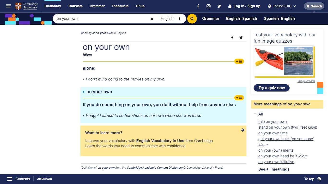 ON YOUR OWN | meaning in the Cambridge English Dictionary